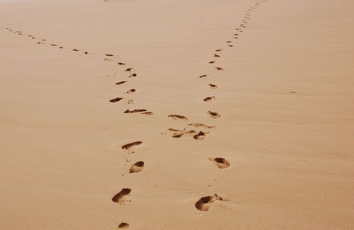 Analyse and Finalize