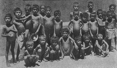 orphanswhosurvivedbengalfamine1943