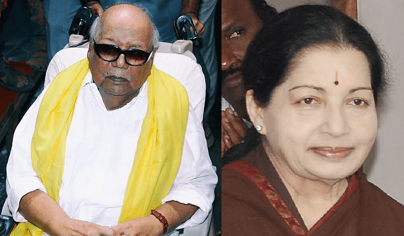 The ground shakes when a big tree&nbsp;falls